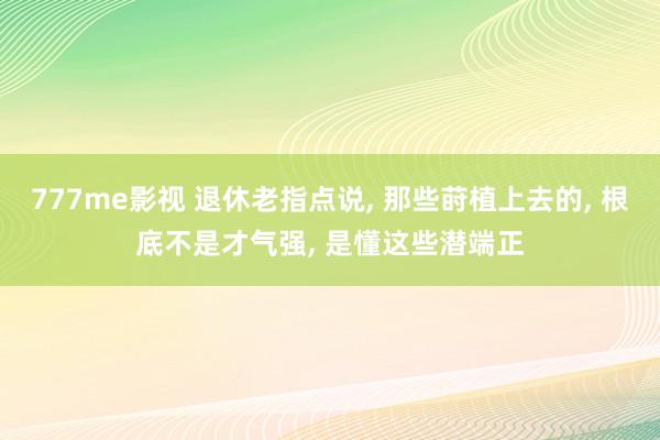 777me影视 退休老指点说, 那些莳植上去的, 根底不是才气强, 是懂这些潜端正