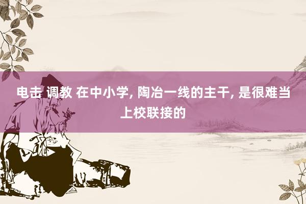 电击 调教 在中小学, 陶冶一线的主干, 是很难当上校联接的