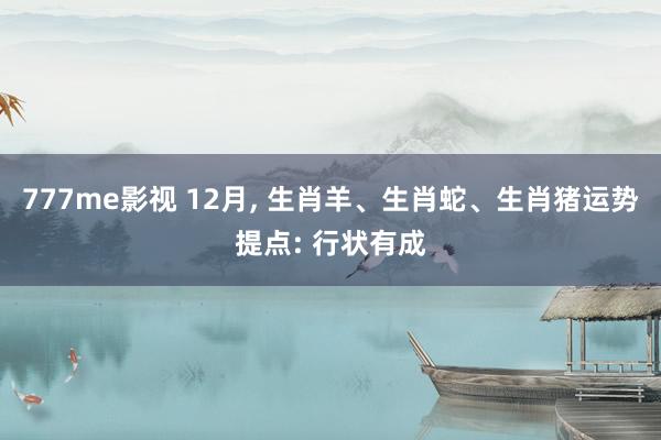 777me影视 12月, 生肖羊、生肖蛇、生肖猪运势提点: 行状有成